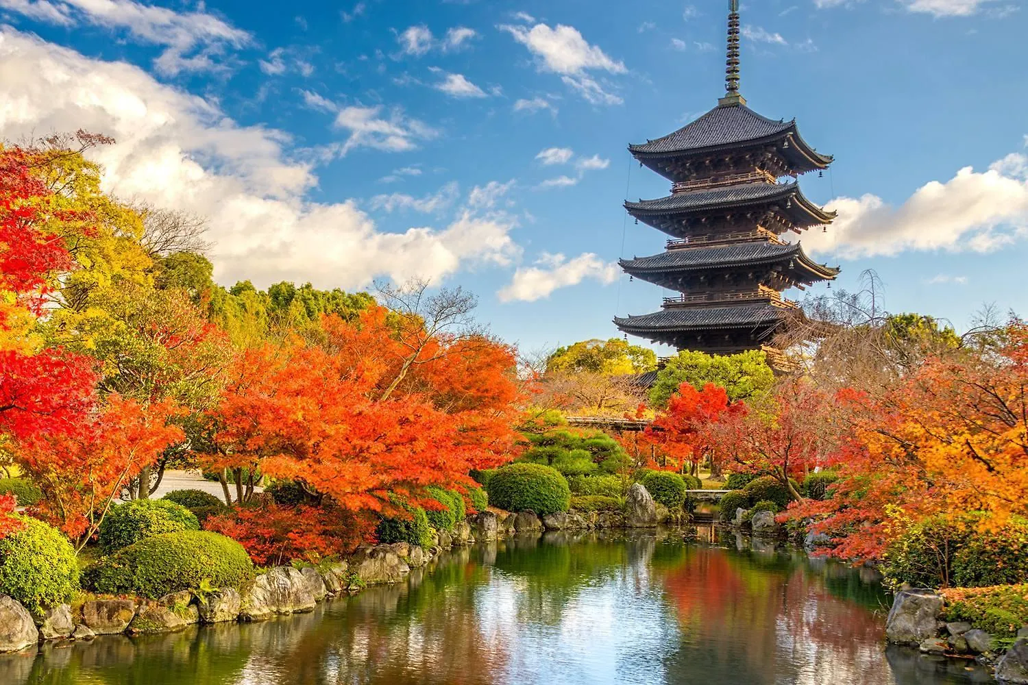 柏東寺1 Hakutoji1 Villa Kyoto Japan
